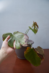 Similar image 22045079