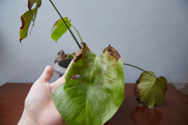 Similar image 22045081