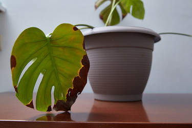 Similar image 22045084