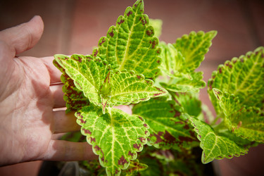 Similar image 22045086