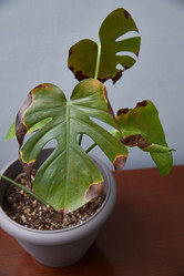 Similar image 22045087