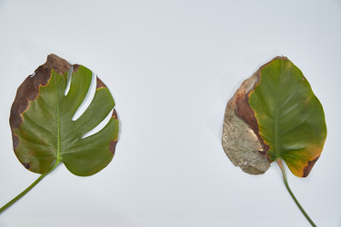 Similar image 22045092