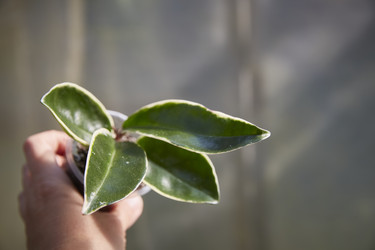 Similar image 22045093