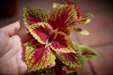 Similar image 22045094