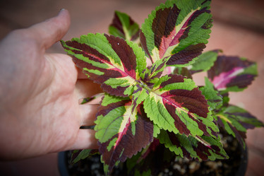 Similar image 22045098