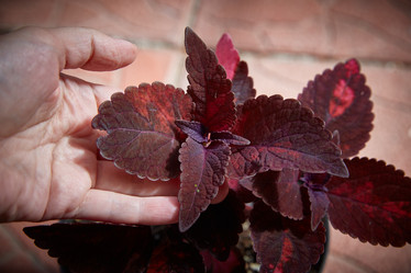 Similar image 22045103