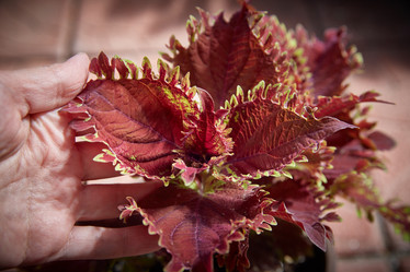 Similar image 22045114