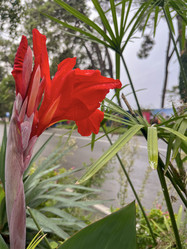 Similar image 22046934