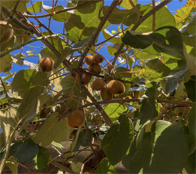 Similar image 22046936