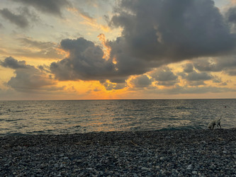 Similar image 22046937