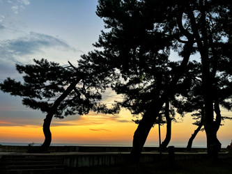 Similar image 22046942