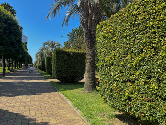 Similar image 22046948