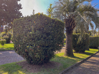 Similar image 22046949