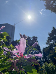 Similar image 22046951