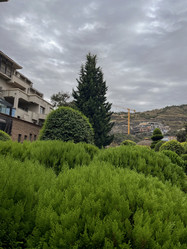 Similar image 22046955