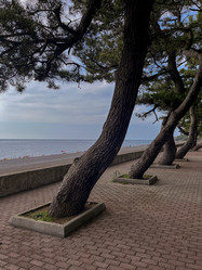 Similar image 22046962