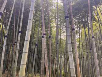 Similar image 22046964