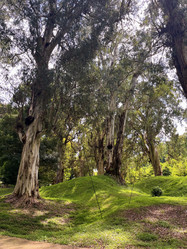 Similar image 22046966