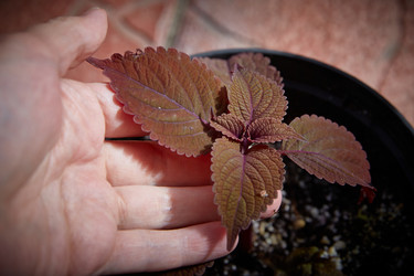 Similar image 22045271