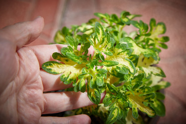 Similar image 22045276