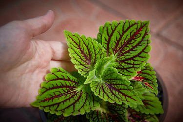 Similar image 22045280