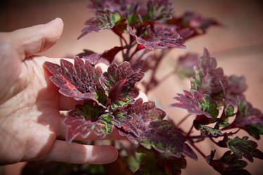 Similar image 22045283