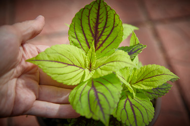 Similar image 22045284