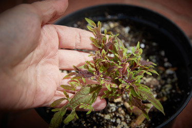 Similar image 22045290