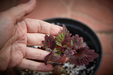 Similar image 22045292