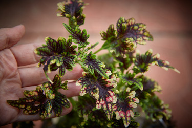 Similar image 22045298