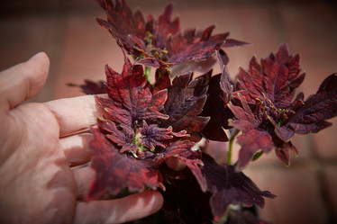 Similar image 22045302