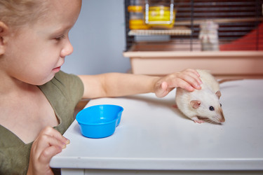 Similar image 22045308