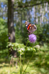 Similar image 22050924