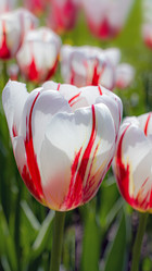 Similar image 22050926