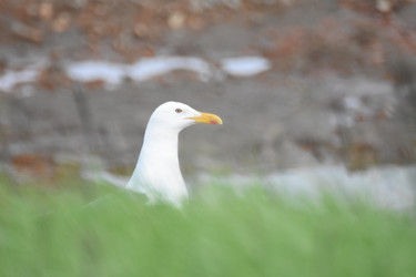 Similar image 22048765