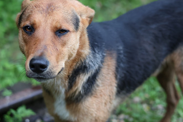 Similar image 22047480