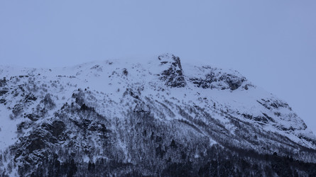 Similar image 22047212