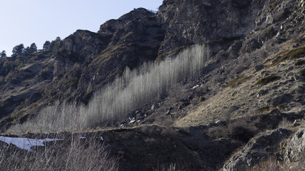 Similar image 22047481