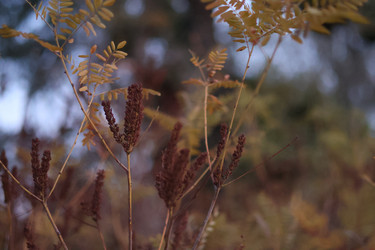 Similar image 22047215