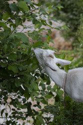 Similar image 22047224