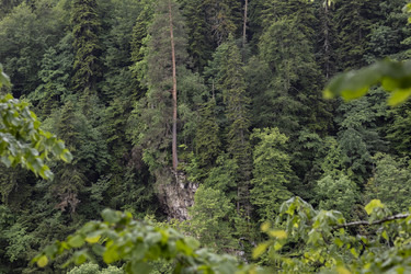 Similar image 22047227