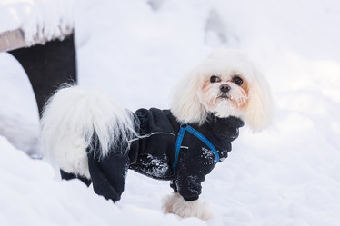 Similar image 22046371