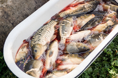 Similar image 22046392