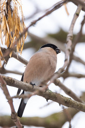 Similar image 22046394