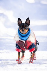 Similar image 22046409