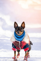 Similar image 22046411