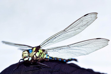 Similar image 22051385