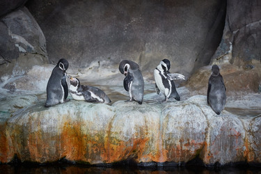 Similar image 22046162