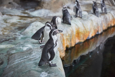 Similar image 22046163