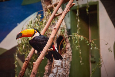 Similar image 22046164